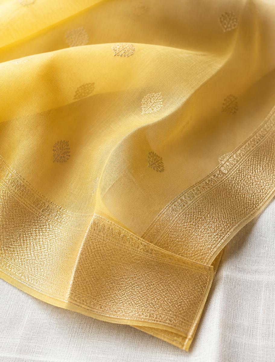 Chanderi saree from Chanderi, Madhya Pradesh